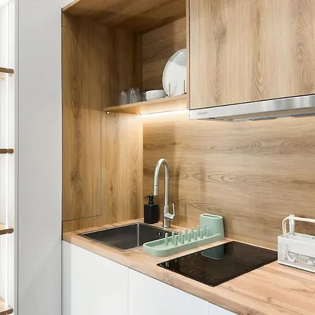 Megaro Luxury 11 In Syntagma *